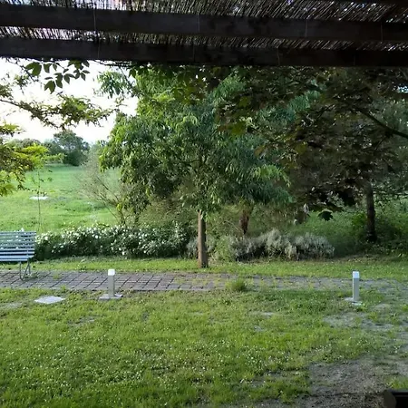 Rose Canine Чезенатіко