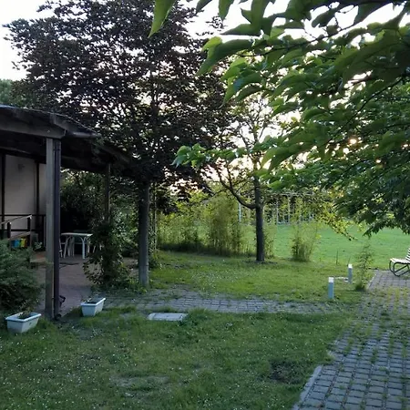 Rose Canine Cesenatico